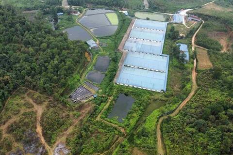 Trại lợn hơn 3.000 con ở đầu nguồn suối, người dân lo ô nhiễm