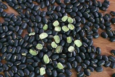 Tăng chức năng thận với nước đậu đen xanh lòng rang