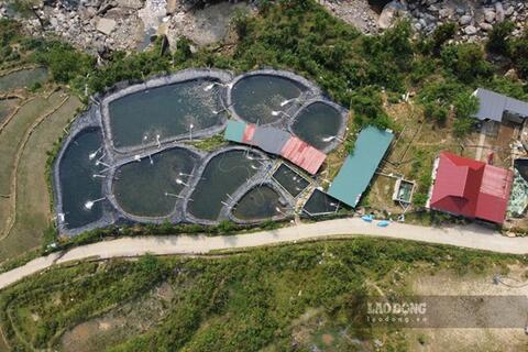 Sẽ xử lý dứt điểm trại cá tầm không phép án ngữ đầu nguồn suối Tà Xùa