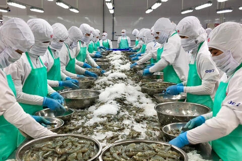 VinaFIS Expo 2026: Kết nối công nghệ, gia tăng giá trị ngành thủy sản