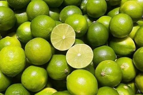 Lý do nước chanh loãng tốt cho sức khỏe thận