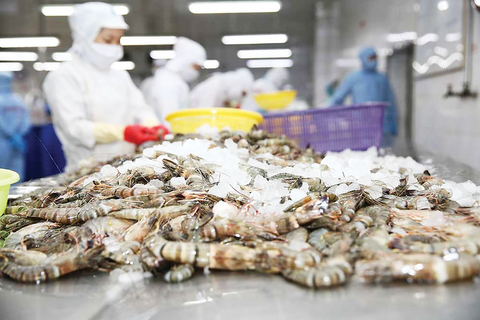 Cạnh tranh gia tăng, ngành tôm buộc chuyển sang “đường đua giá trị”