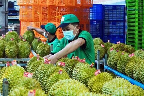 Doanh nghiệp xuất khẩu sầu riêng thích ứng với kỷ nguyên số
