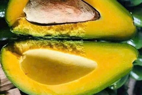 Cách ăn quả bơ bổ gan