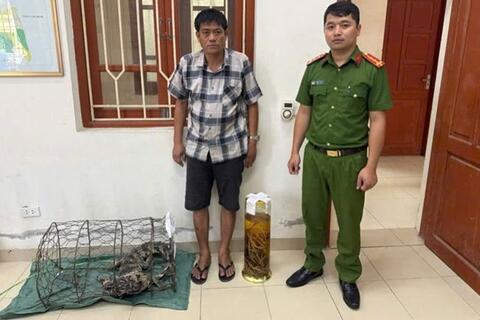Ngâm rượu tay gấu, một người đàn ông ở Ninh Bình bị khởi tố