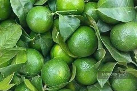 Lý do nước chanh hỗ trợ chức năng gan và cách dùng đúng