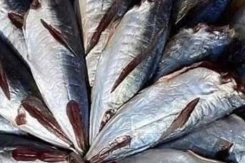 Mách bà nội trợ mẹo chọn loại cá bổ sung omega-3 hiệu quả