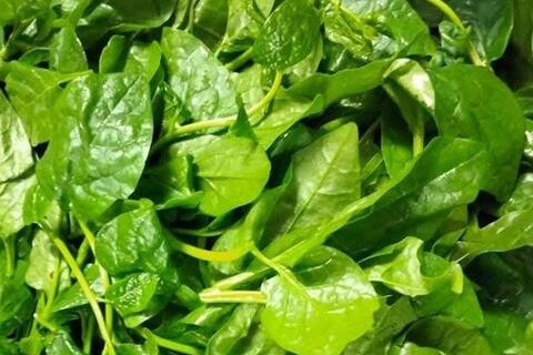Mức độ rau mồng tơi tốt cho gan