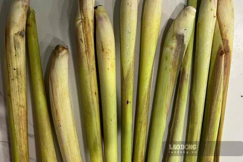 Thức uống hỗ trợ tăng chức năng gan
