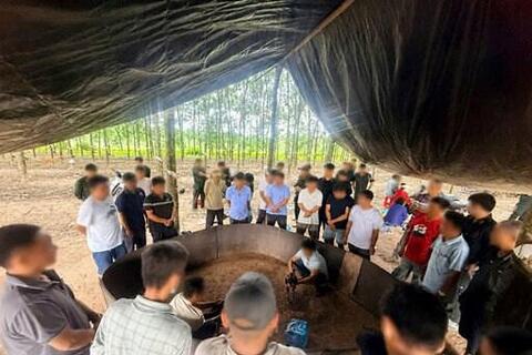 Công an tỉnh Tây Ninh triệt phá sới gà trong rừng cao su