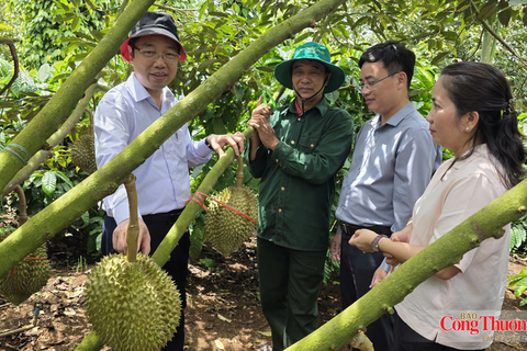 Hàng trăm doanh nghiệp tham dự Diễn đàn Kết nối tiêu thụ sầu riêng