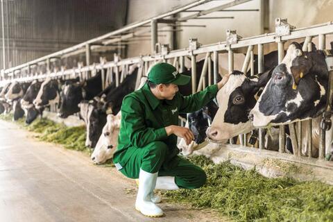 Vinamilk: 50 năm nâng chuẩn để “phụng sự khát vọng Việt"