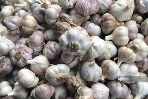 Tỏi tốt nhưng có nhóm người nên hạn chế ăn