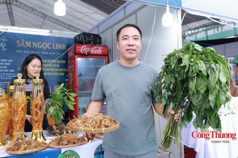 Doanh nghiệp sâm Ngọc Linh thu về hơn 600 triệu đồng tại hội chợ miền Trung - Tây Nguyên