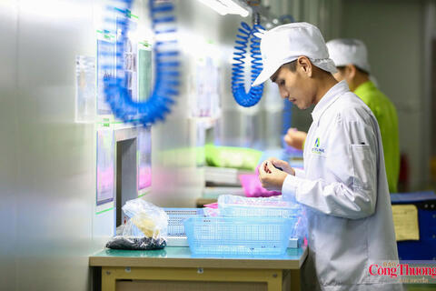Việt Nam tiếp tục củng cố vị thế chiến lược trong chuỗi cung ứng toàn cầu