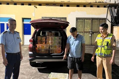 Phát hiện ôtô chở 1.500 con vịt giống không rõ nguồn gốc