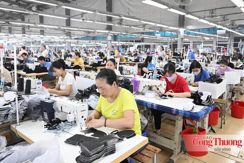 EVFTA: Rào cản từ thị trường và giải pháp để doanh nghiệp Việt vượt qua