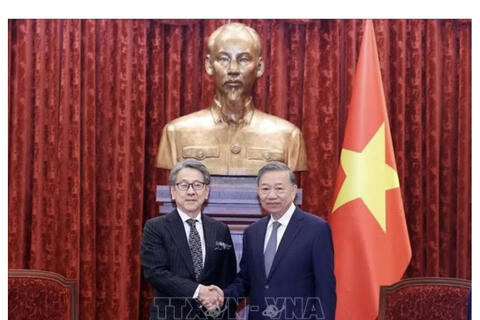 Việt Nam coi trọng hợp tác đảm bảo an ninh năng lượng với Nhật Bản