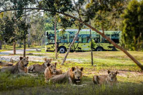 Nắm giữ “kỷ lục kép” thế giới - Vinpearl Safari Phú Quốc “khủng” cỡ nào?