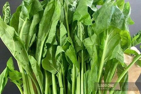 Thực phẩm giàu vitamin K tốt cho xương khớp