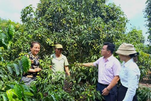 Dấu ấn tín dụng chính sách trên hành trình giảm nghèo, xây dựng nông thôn mới ở Ea Kar