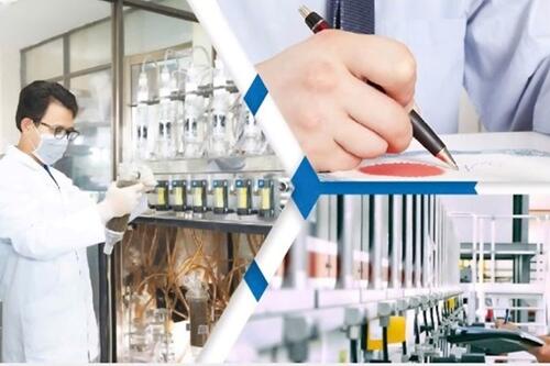 Chính sách đặc biệt nhằm thu hút nhân tài trong lĩnh vực chuyển đổi số