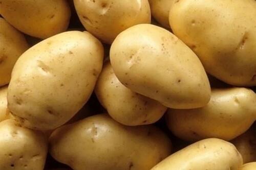 Loại củ khiến đường huyết tăng nhanh