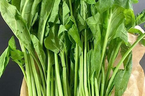 Loại rau giúp kích thích mọc tóc và tăng chức năng gan