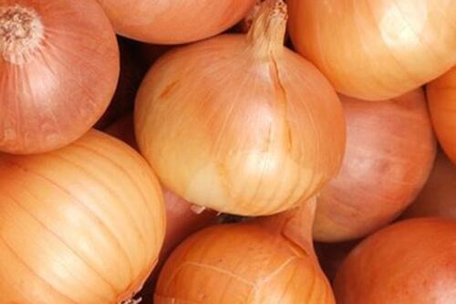 Thải độc gan bằng củ hành tây