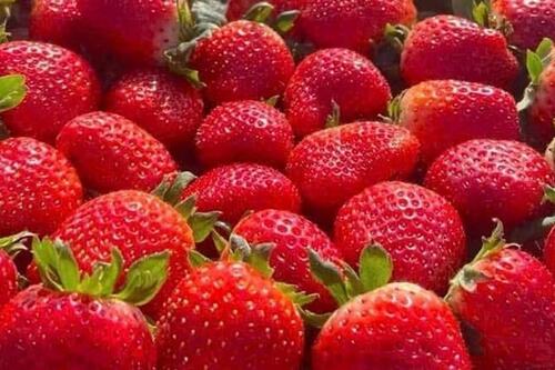 Bổ sung collagen: Nên chọn loại trái cây nào?