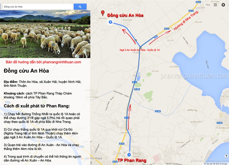 Đồng cừu An Hòa: Điểm “check-in” gây sốt ở Ninh Thuận -0