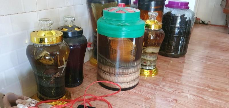 Phát hiện số lượng lớn động vật hoang dã tại tỉnh Tây Ninh ảnh 1