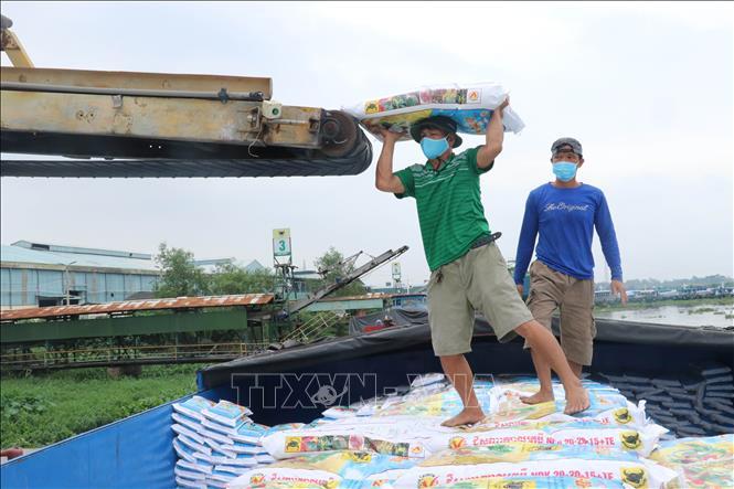 Phần lớn các loại phân bón trên thị trường đều tăng giá rất cao, có loại tăng gấp đôi. Ảnh: Bùi Giang/TTXVN Phần lớn các loại phân bón trên thị trường đều tăng giá rất cao, có loại tăng gấp đôi. Ảnh: Bùi Giang/TTXVN