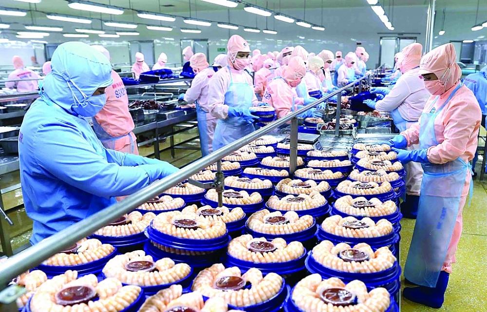 Chế biến tôm xuất khẩu tại nhà máy của Tập đoàn Minh Phú Seafood Corp tại Khu công nghiệp Nam Sông Hậu (Hậu Giang).  Ảnh: TTXVN