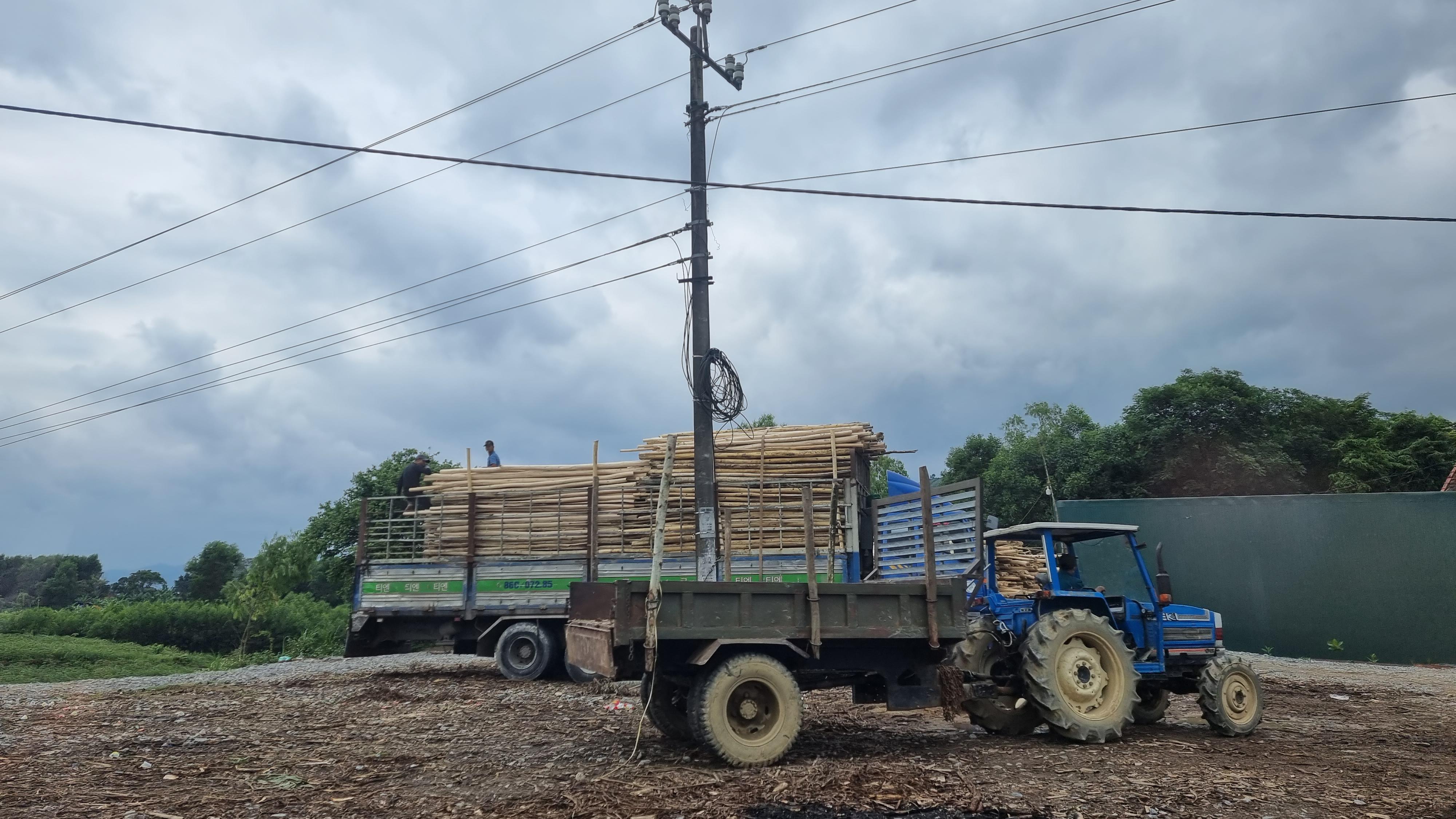 Trạm cân không phép ngang nhiên hoạt động trong một thời gian dài tiềm ẩn nhiều nguy hiểm nhưng chính quyền không xử lí.