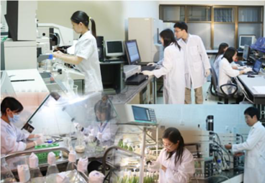 Quỹ phát triển KH&CN được chi cho các hoạt động đào tạo nhân lực, sáng kiến, mua máy móc thiết bị.