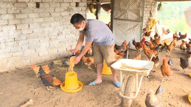 Nguồn vốn tín dụng ủy thác-'đòn bẩy' loại bỏ tư tưởng trông chờ, thúc đẩy sản xuất - Ảnh 1.