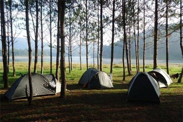 6 địa điểm cắm trại đẹp nhất ở Đà Lạt: Nơi số 3 còn được mệnh danh là "Thánh địa săn mây" - Ảnh 2.