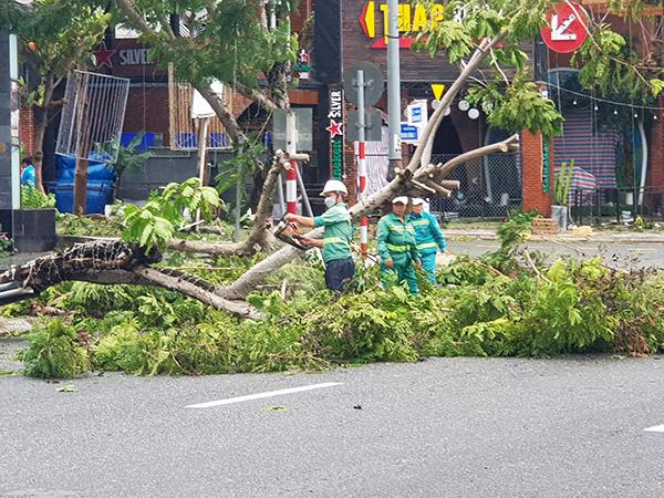 Công nhân Công ty Công viên Cây xanh Đà Nẵng khẩn trương xử lý các cây bị ngã đổ do bão Noru Công nhân Công ty Công viên Cây xanh Đà Nẵng khẩn trương xử lý các cây bị ngã đổ do bão Noru
