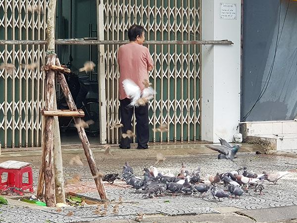 Chủ nhà vừa mở cửa thì đàn chim liền bay đến! Chủ nhà vừa mở cửa thì đàn chim liền bay đến!