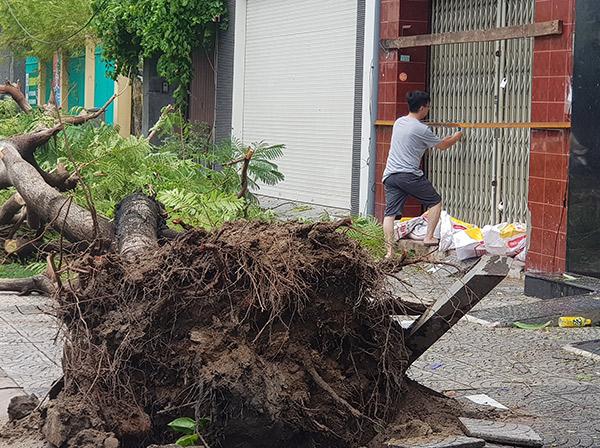 Chủ các cửa hàng, cửa hiệu tháo dỡ các thanh chắn bảo vệ... Chủ các cửa hàng, cửa hiệu tháo dỡ các thanh chắn bảo vệ...