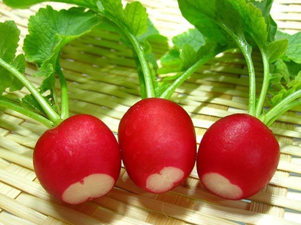 Củ cải đường không dành cho người huyết áp thấp