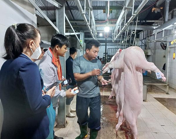 Cán bộ BQL ATTP Đà Nẵng hướng dẫn nhân viên Công ty Cổ phần Thái Việt Corporation thực hiện cấp Mã code cho heo trước khi đưa vào pha lóc. Cán bộ BQL ATTP Đà Nẵng hướng dẫn nhân viên Công ty Cổ phần Thái Việt Corporation thực hiện cấp Mã code cho heo trước khi đưa vào pha lóc.