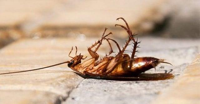 do-nuoc-giat-vao-toi-gian-nhieu-den-may-cung-diet-het-tiet-kiem-an-toan=hon-dung-thuoc-xit_7