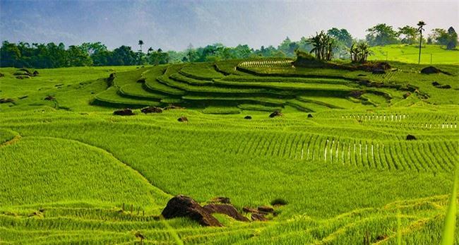 Pù Luông Thanh Hóa: Chia sẻ kinh nghiệm du lịch đẹp mê đắm - Ảnh 1.