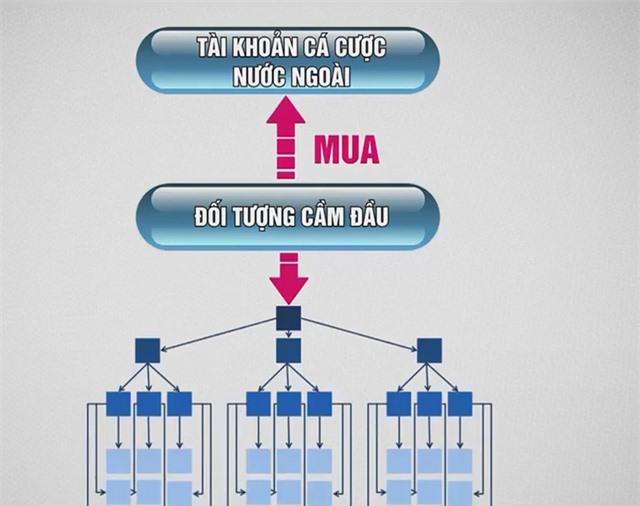 Thủ đoạn tinh vi của tội phạm cá độ bóng đá - Ảnh 1.