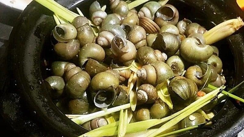 huong-dan-chi-tiet-cach-luoc-oc-ngon-khong-dut-ruot-cuc-don-tipsnote-800x450-5