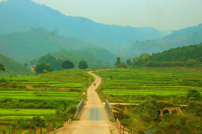 Ruộng bậc thang Đạ Long.