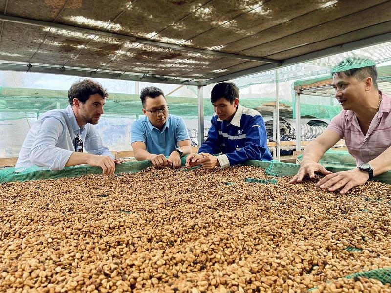 Quy trình chăm sóc, thu hoạch và chế biến của cà phê đặc sản tuân theo các tiêu chuẩn và quy trình đánh giá khắc khe.