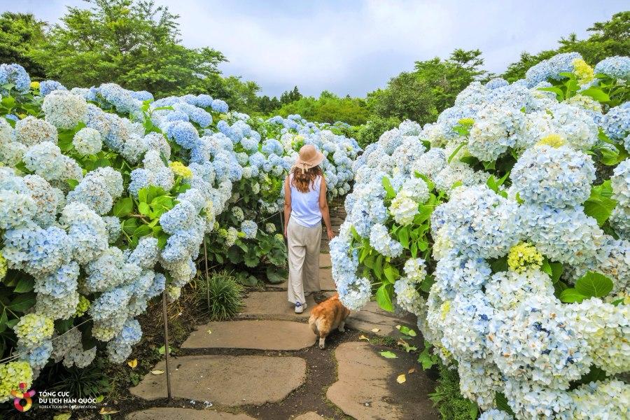 Khu vườn Khu vườn